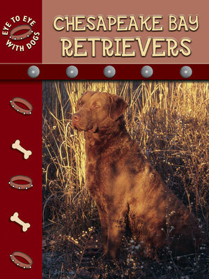 cover image of Chesapeake Retrievers